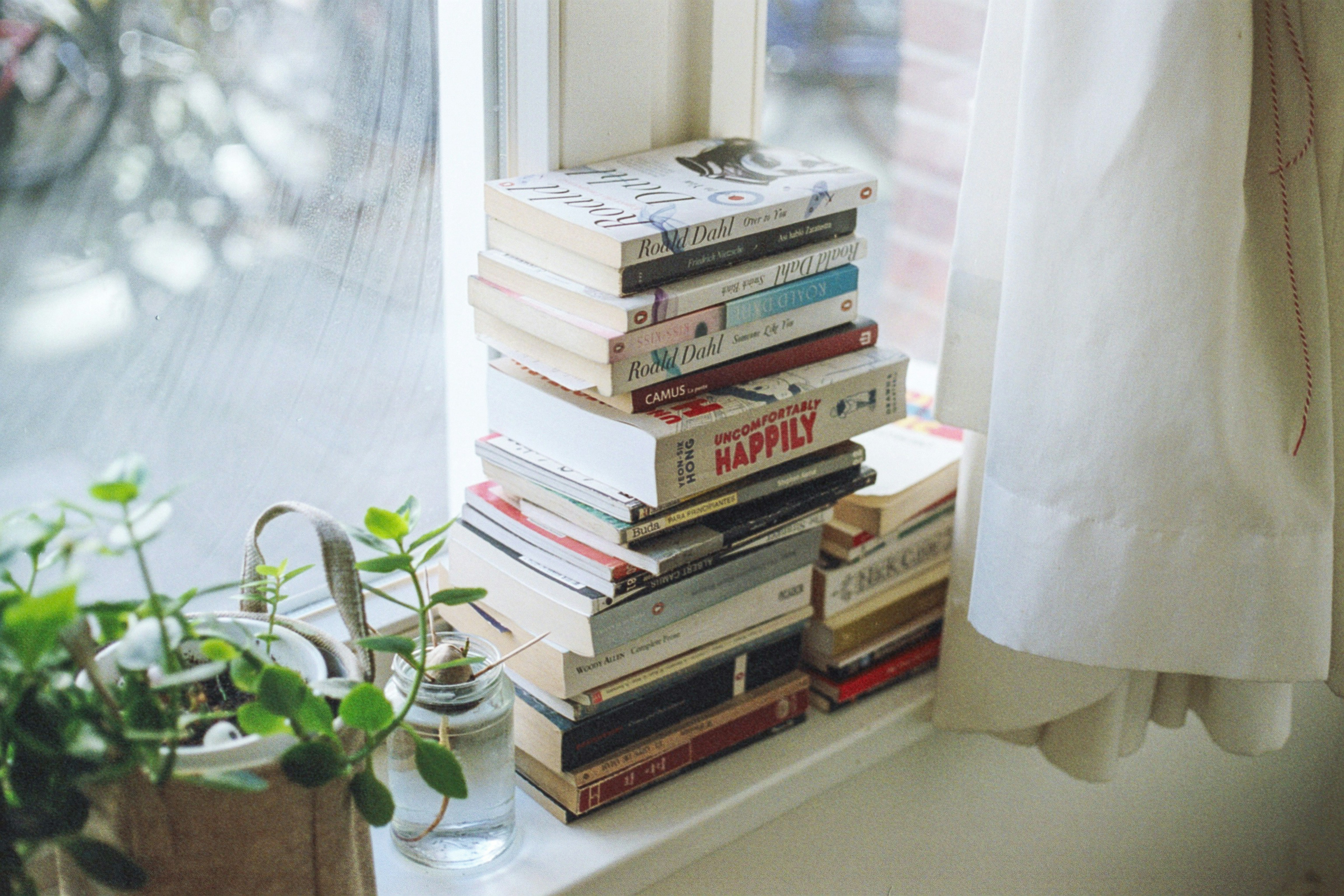 Image of self-improvement books and plants on a window sill, symbolizing personal growth and enlightenment.