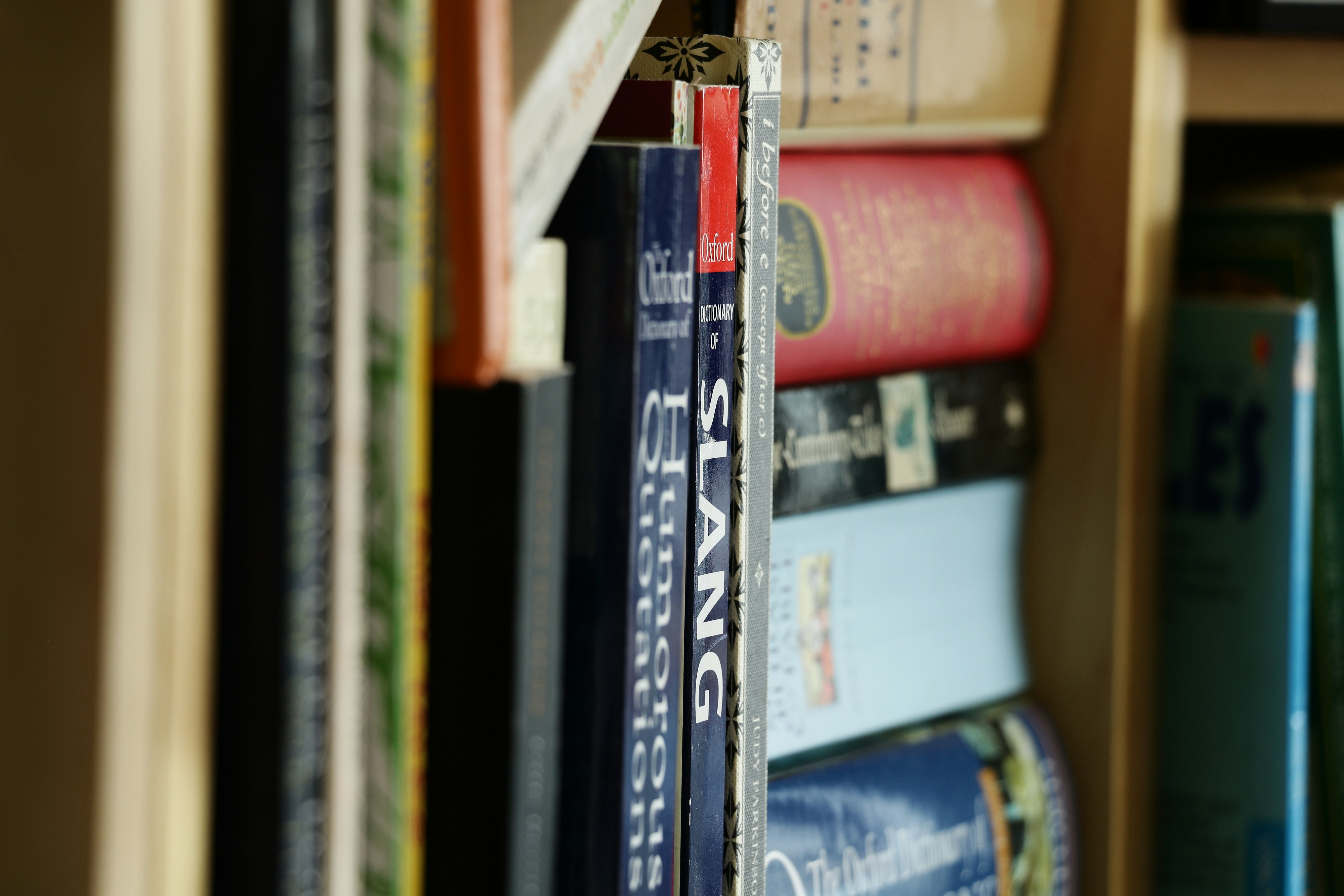 Image of old books on a shelf in a library, symbolizing the exploration of history and the evolution of human thought.
